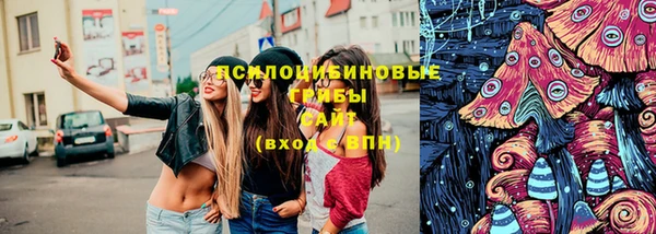 ПСИЛОЦИБИНОВЫЕ ГРИБЫ Бугульма