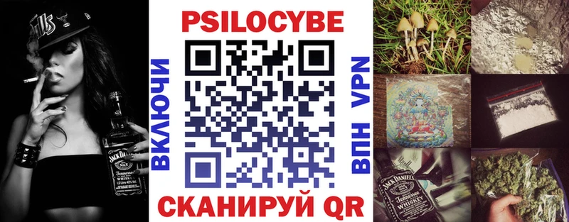 Псилоцибиновые грибы Psilocybine cubensis  Шилка 